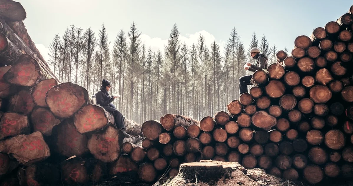 Logging Outcomes, Not Decisions, Breaks Luck Tracking