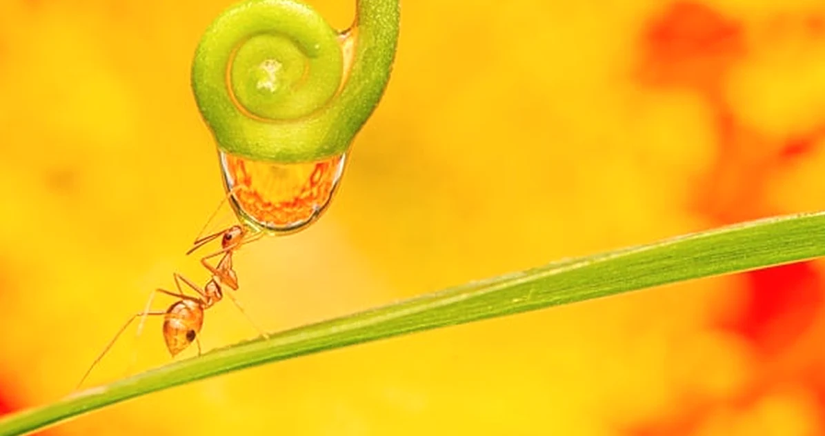 Micro Habits Don’t Create Luck; They Reveal Chances
