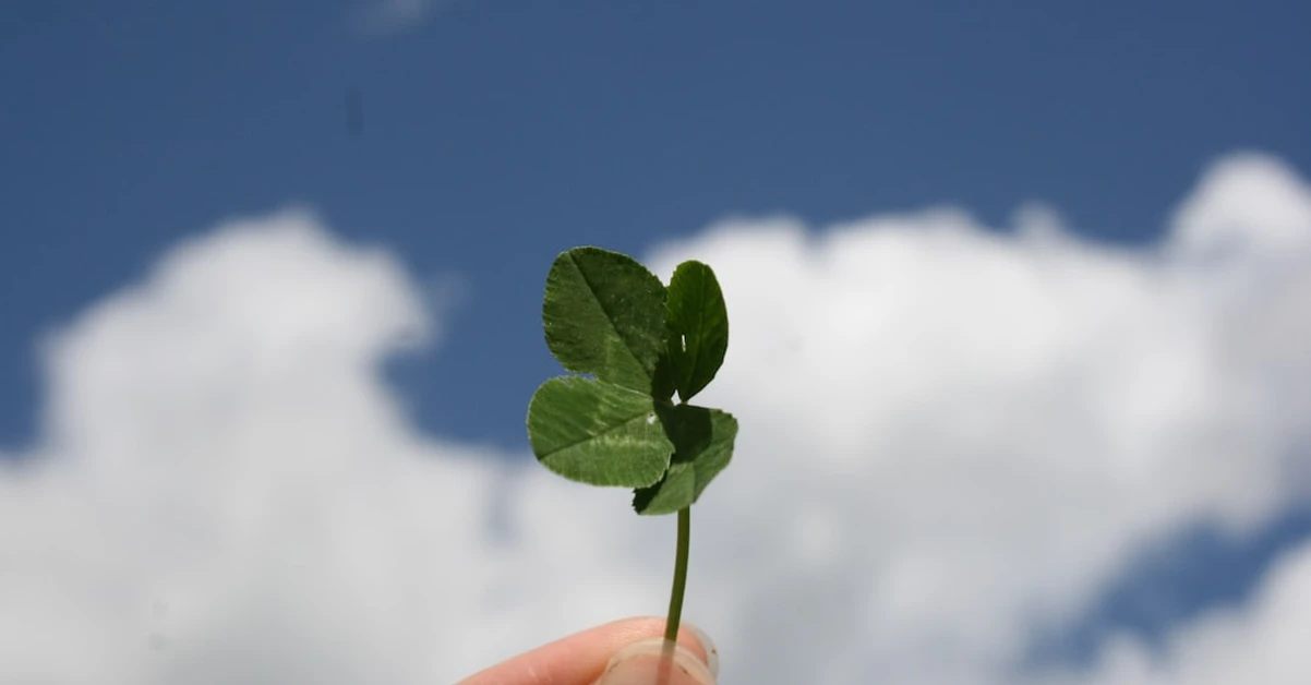 More Luck Often Comes From Exposure, Not Positive Thinking