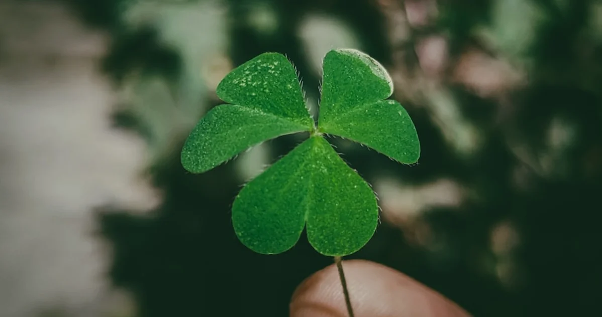 Research: Mindfulness Spots Opportunities, Not Luck
