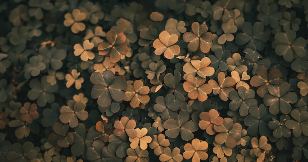 Study: luck psychology ties network timing to career gains
