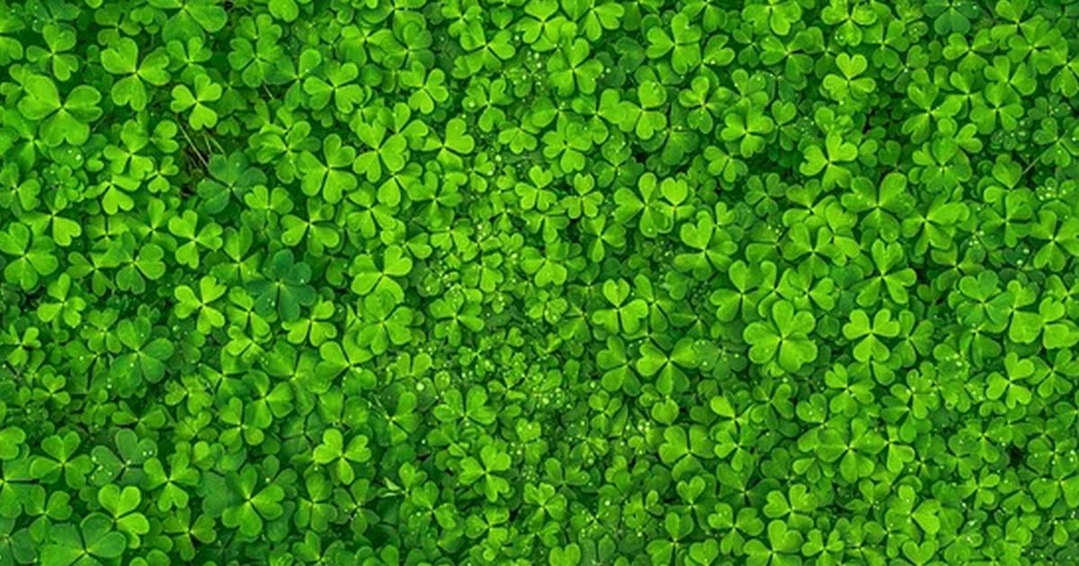 Why Your CRM Makes Cold Outreach Wins Look Like Luck
